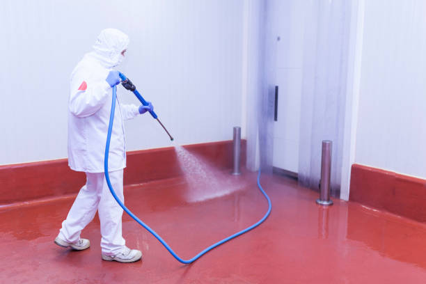Best Paint Preparation  in Standish, MI