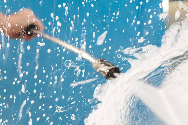 Animal Enclosure Cleaning in Standish, MI